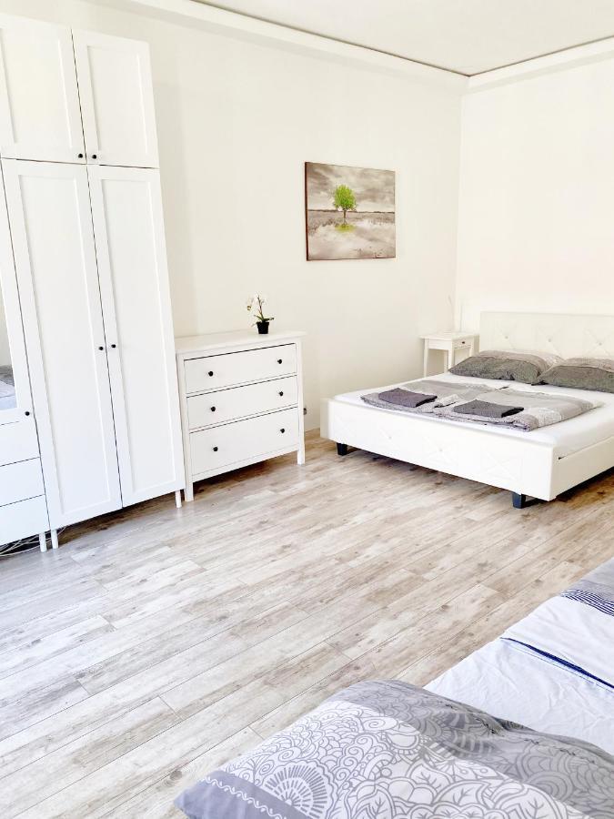 Luxury Apartment In The Centre Ac Parking Garden 부다페스트 외부 사진